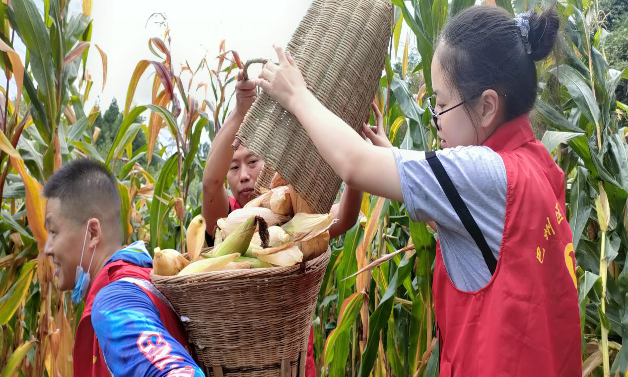 圖片2 圖片2